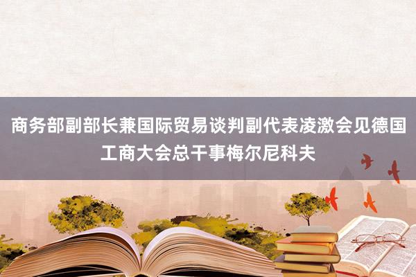 商務部副部長兼國際貿(mào)易談判副代表凌激會見德國工商大會總干事梅爾尼科夫