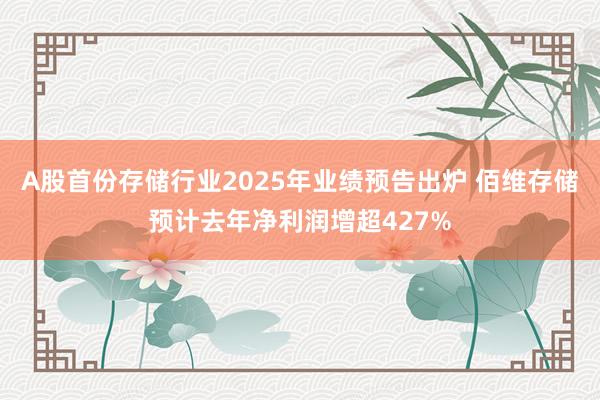 A股首份存儲行業(yè)2025年業(yè)績預(yù)告出爐 佰維存儲預(yù)計去年凈利潤增超427%