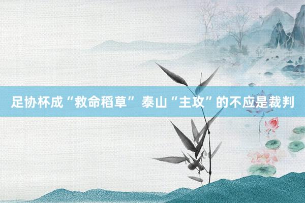 足協(xié)杯成“救命稻草” 泰山“主攻”的不應(yīng)是裁判
